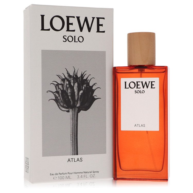Loewe Solo Atlas by Loewe