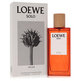 Loewe Solo Atlas by Loewe